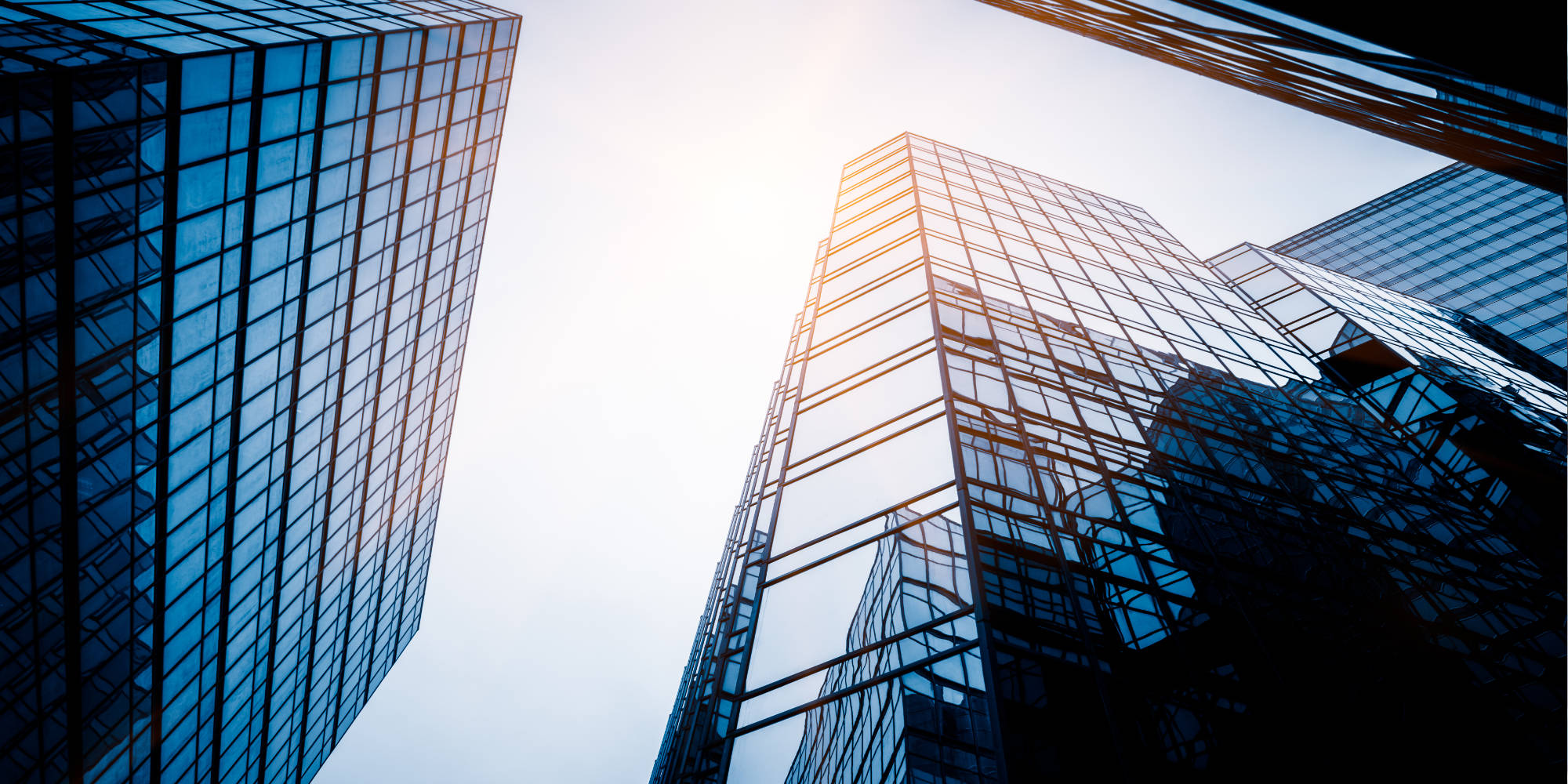 Consulenza creditizia imprese Brescia - Ardiana Lepuri